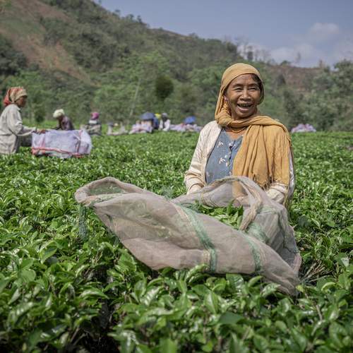 Фотография #13413796