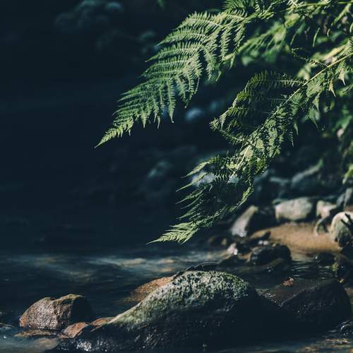 Photo #13414366