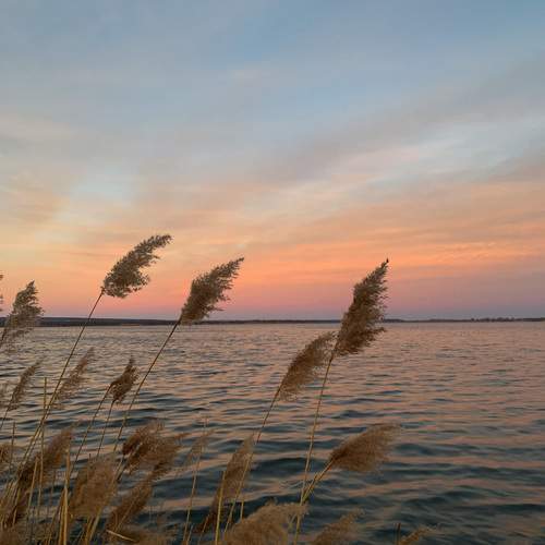 Photo #13414461