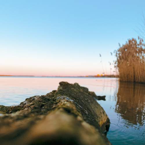 Photo #13414462