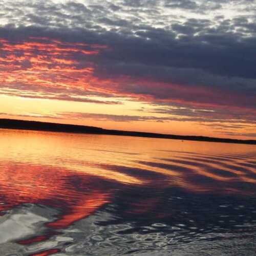 Photo #13414502