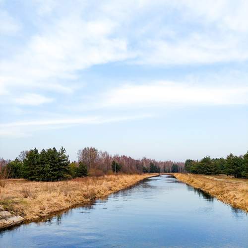 Photo #13414519