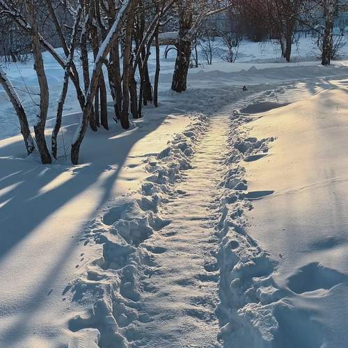 Photo #13414696