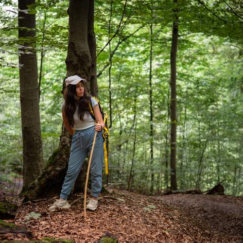 Photo #13414719