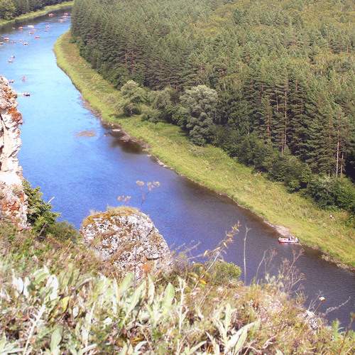 Photo #13414993