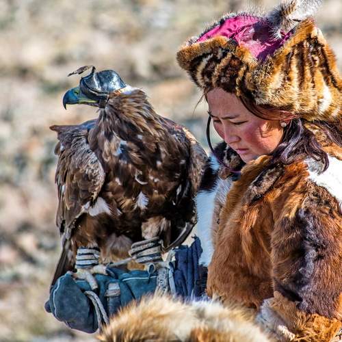 Фотография #13415151