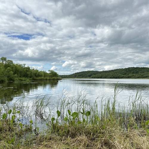 Photo #13415394