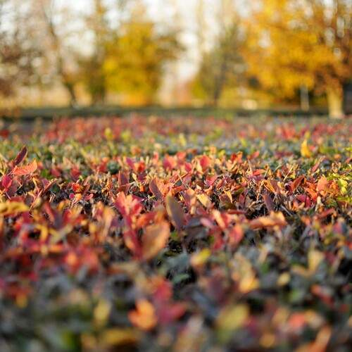 Photo #13415482