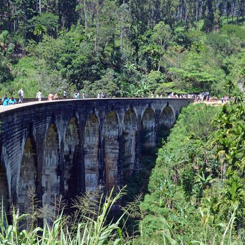 Фотография #13415593