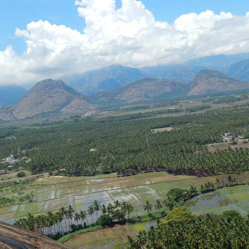 Photo #13415725