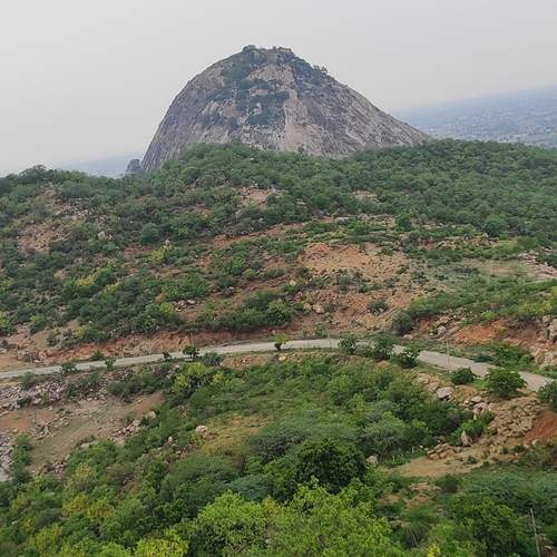 Photo #13415743