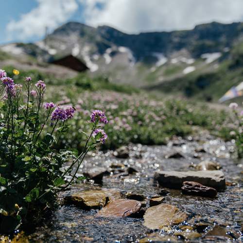 Photo #13415764