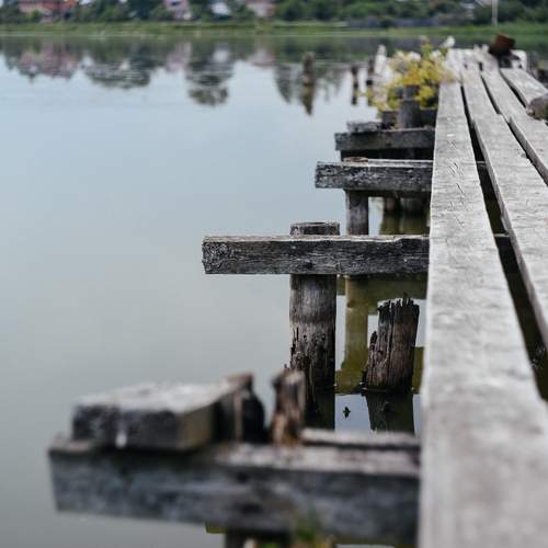 Photo #13415820