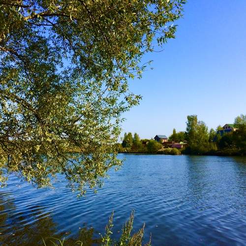 Photo #13415842