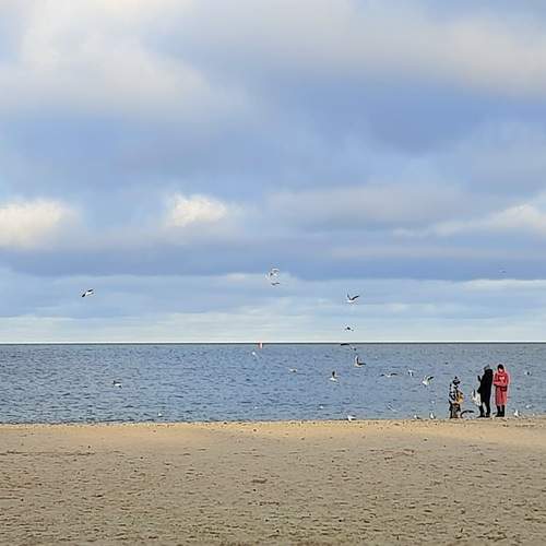 Photo #13416121