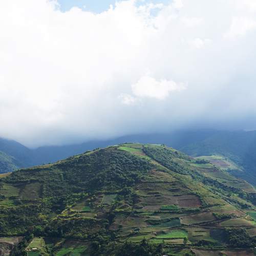 Photo #13416124