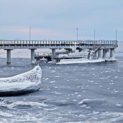 Photo #13416231
