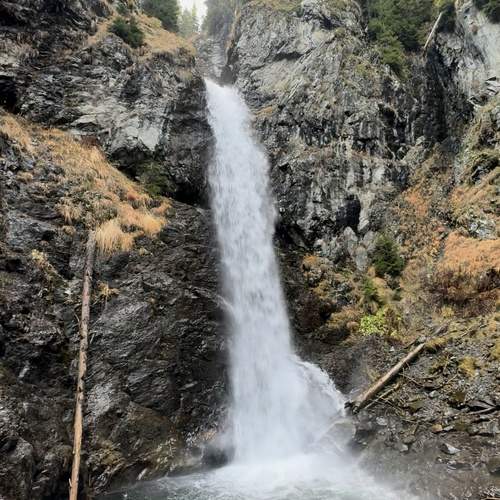 Photo #13416292