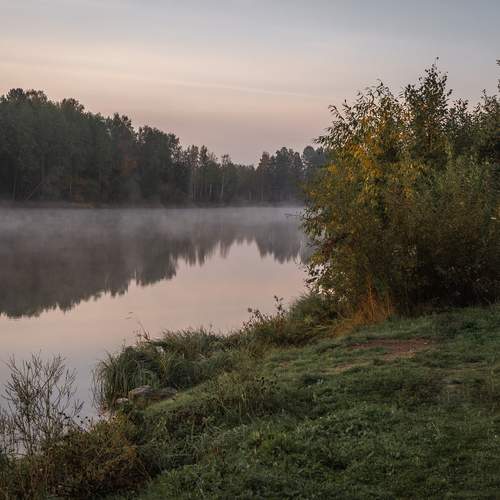 Photo #13416369