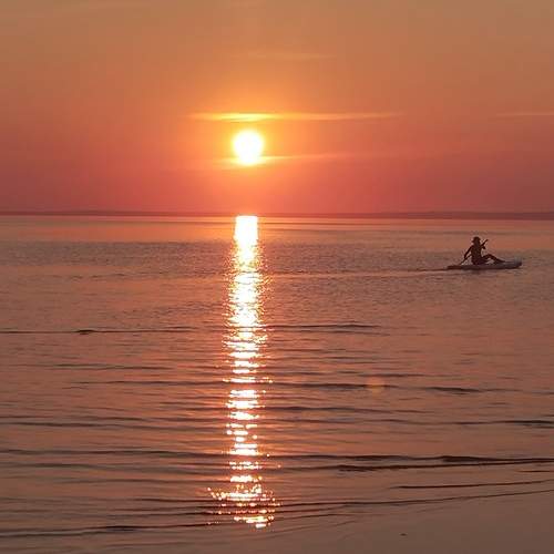 Photo #13416382