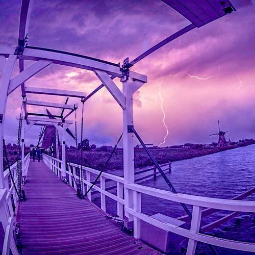 Photo #13416384