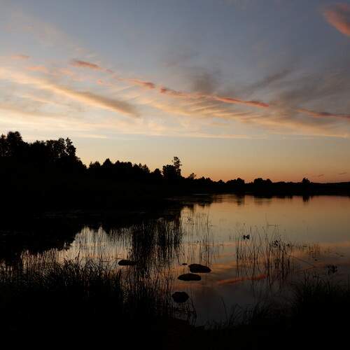 Photo #13416421