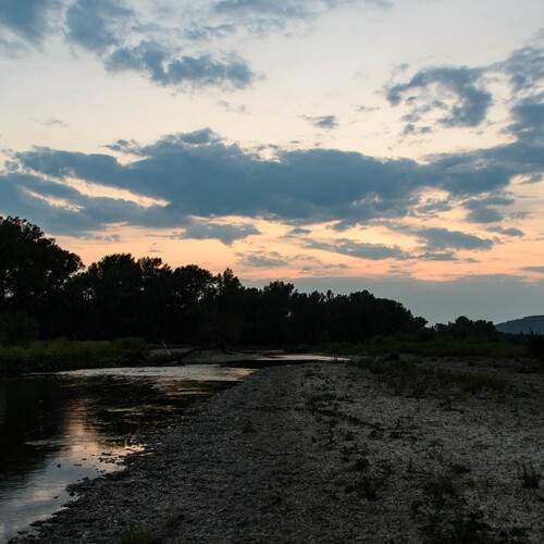 Photo #13416512