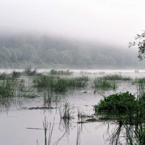 Photo #13416661