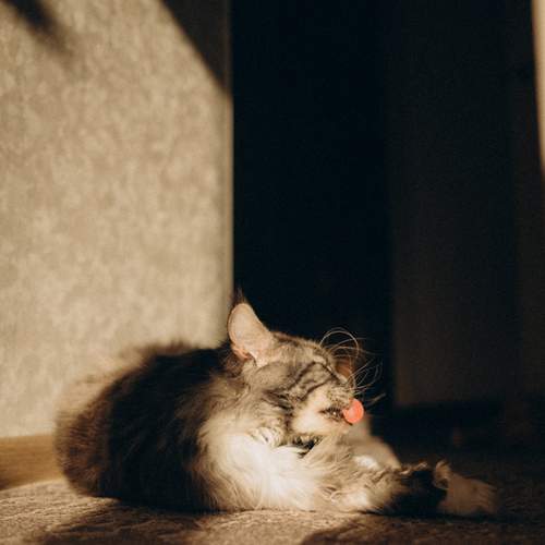 Photo #13416823