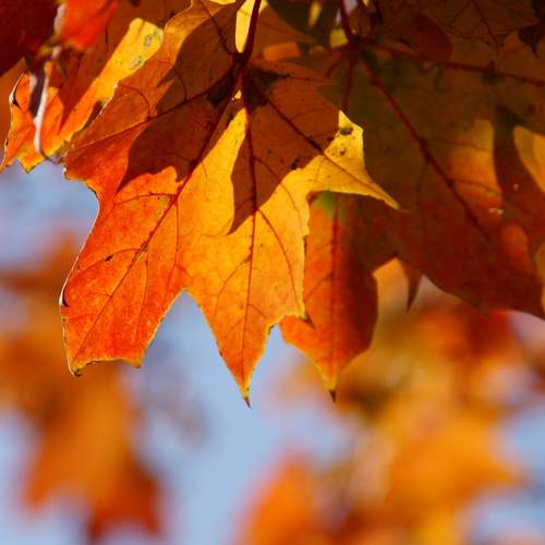 Фотография #13416981