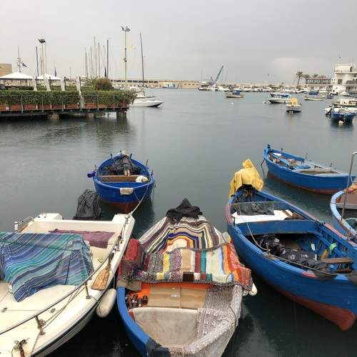 Photo #13417000