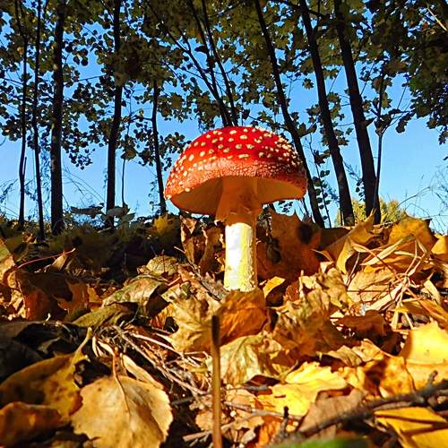 Photo #13417112