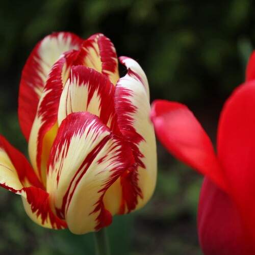 Фотография #13417185