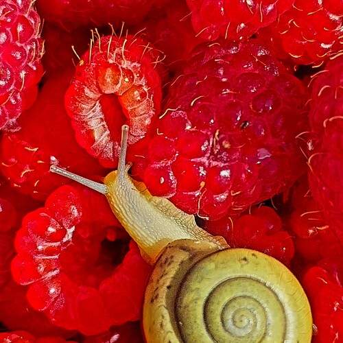 Фотография #13417186