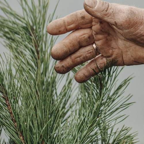 Фотография #13417208