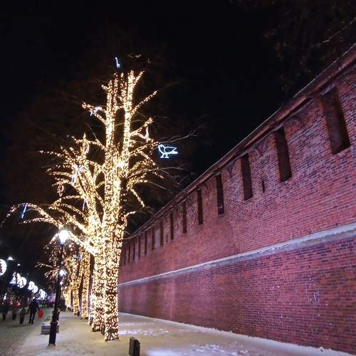 Photo #13417512