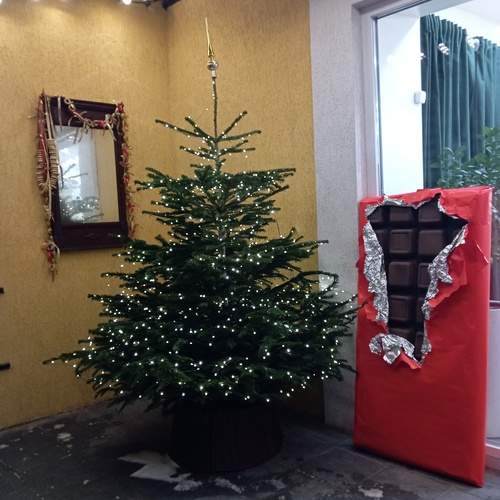 Photo #13417514