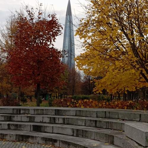 Photo #13417515