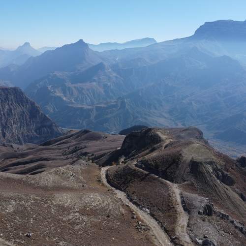 Photo #13417533