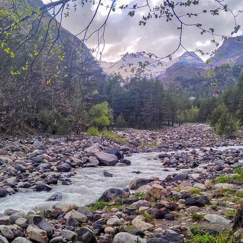 Photo #13417550