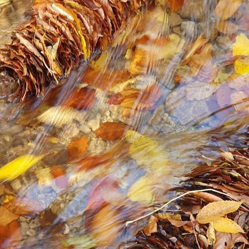 Photo #13417552