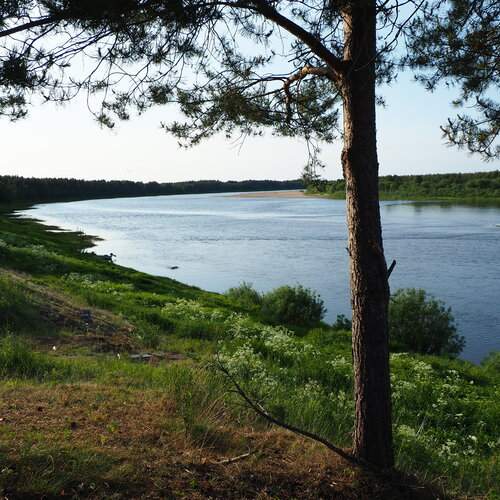 Photo #13417632