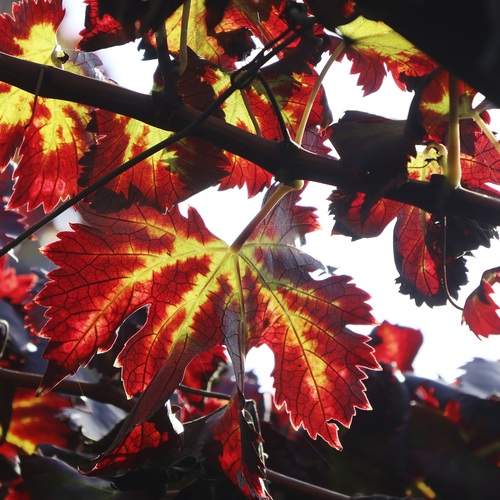 Photo #13417679