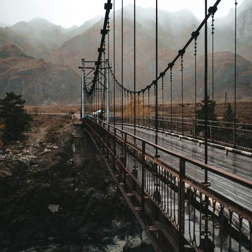 Photo #13417764