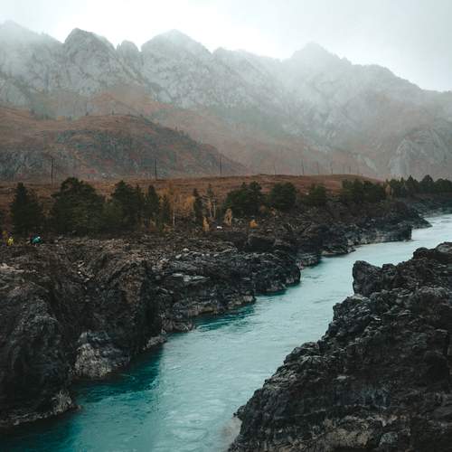 Photo #13417776