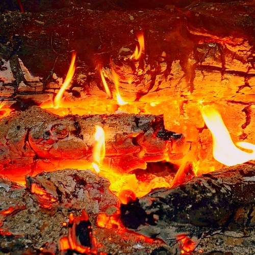 Фотография #13417827