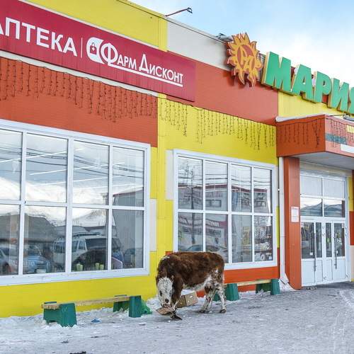 Фотография #13417830