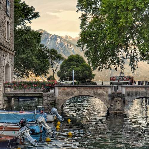 Photo #13417955