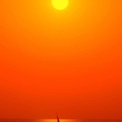 Photo #13417982