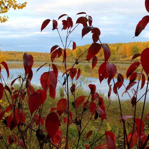 Фотография #13418053